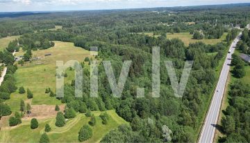 Land unit in Gauja National Park