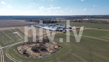 Good quality farm in Trikāta parish