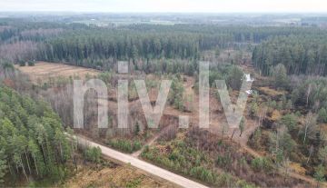 Apbūves iespējas meža ielokā Valmieras pierobežā