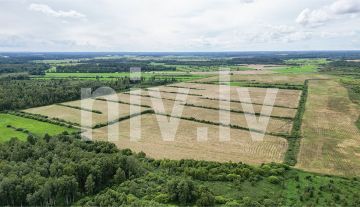 Lauksaimniecības zeme Smiltenes pagastā 