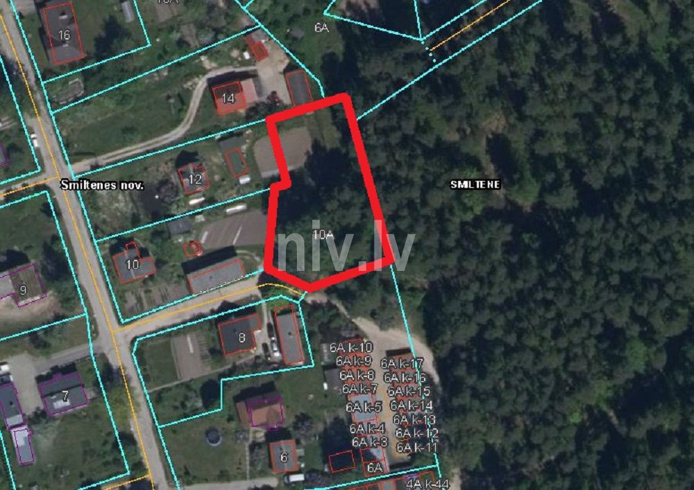 Avotu10a_Orto.JPG