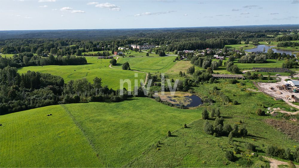 Bl-Liviem-apb-03-2025-02.jpg