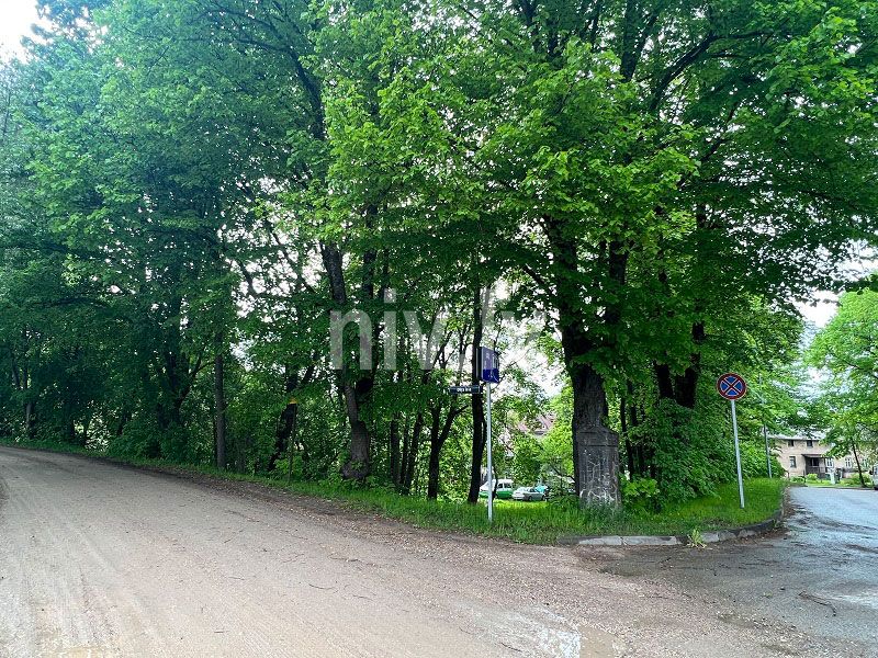 Cesis_Rainja_02.jpg