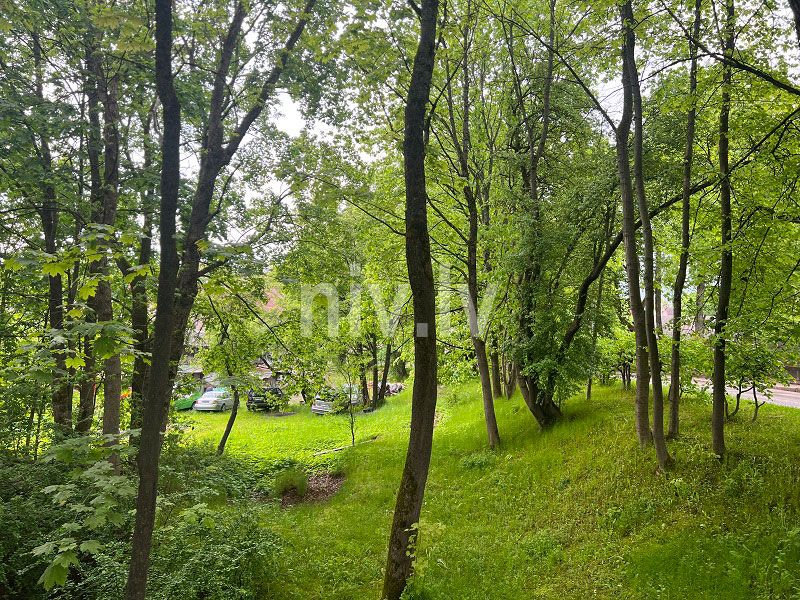 Cesis_Rainja_04.jpg