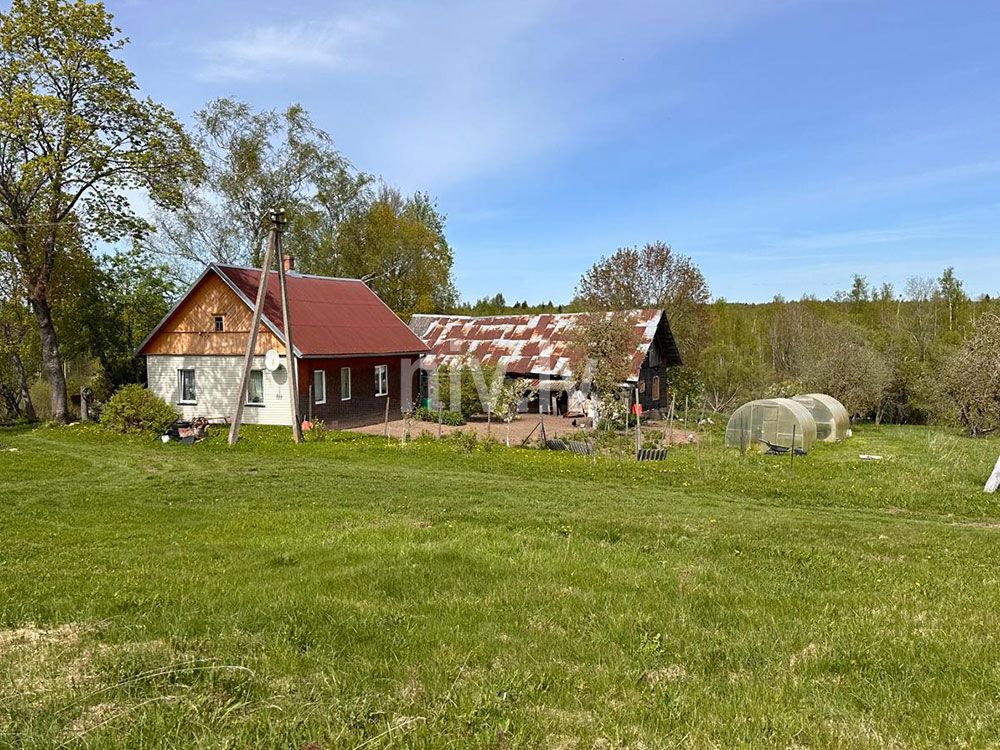 Chornajas-pag-maja-04.jpg