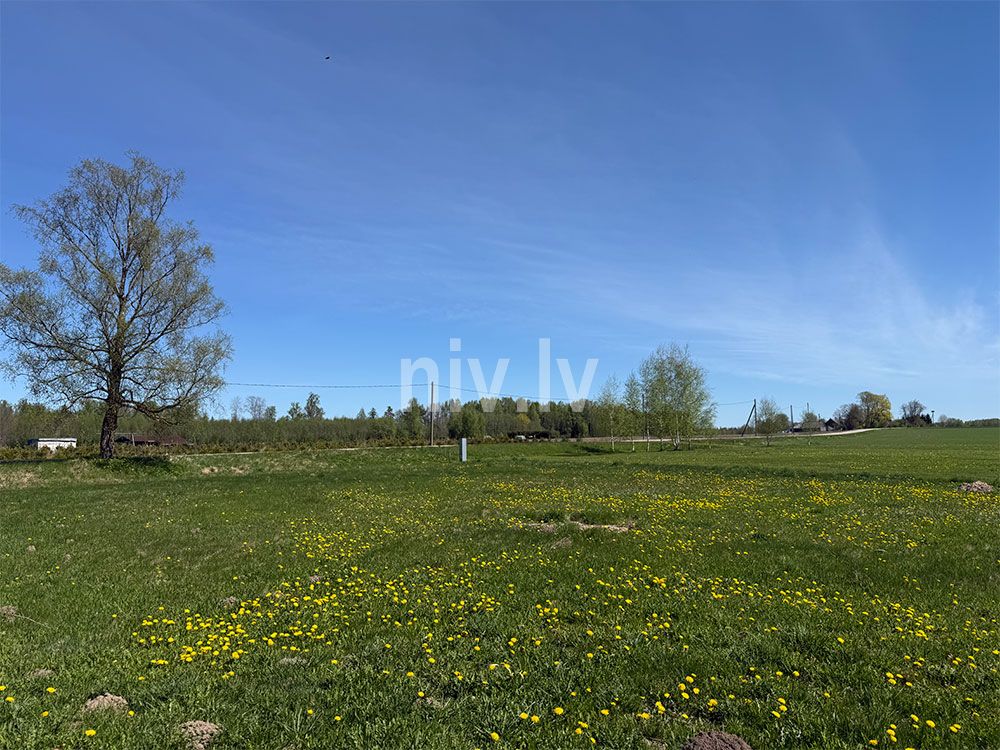 Jaungobnieki-maja-pardod-0015.jpg