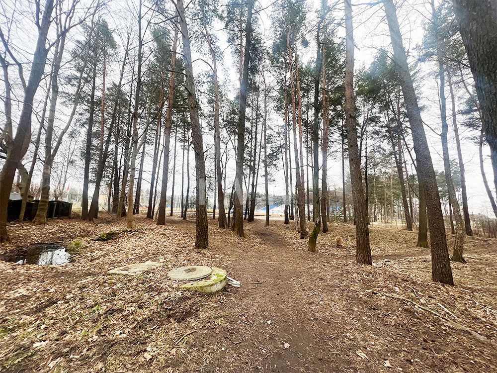 Jurmala-Skolas-iela-zeme-02.jpg