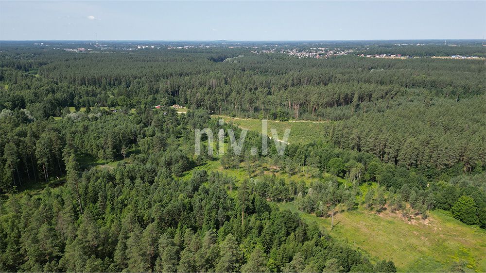 Priezu-kalni-apbuve-08-2026-013.jpg