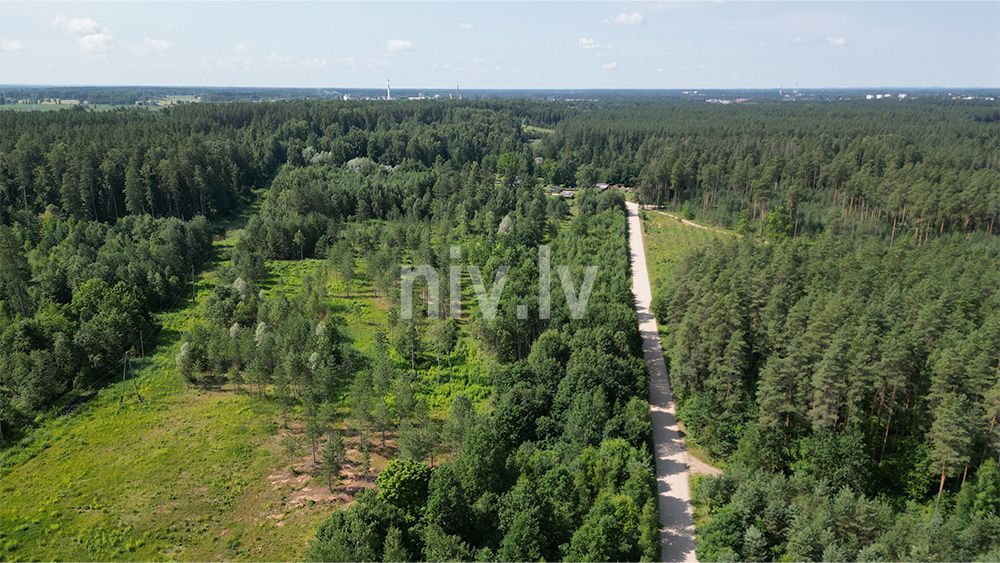 Priezu-kalni-apbuve-08-2026-015.jpg