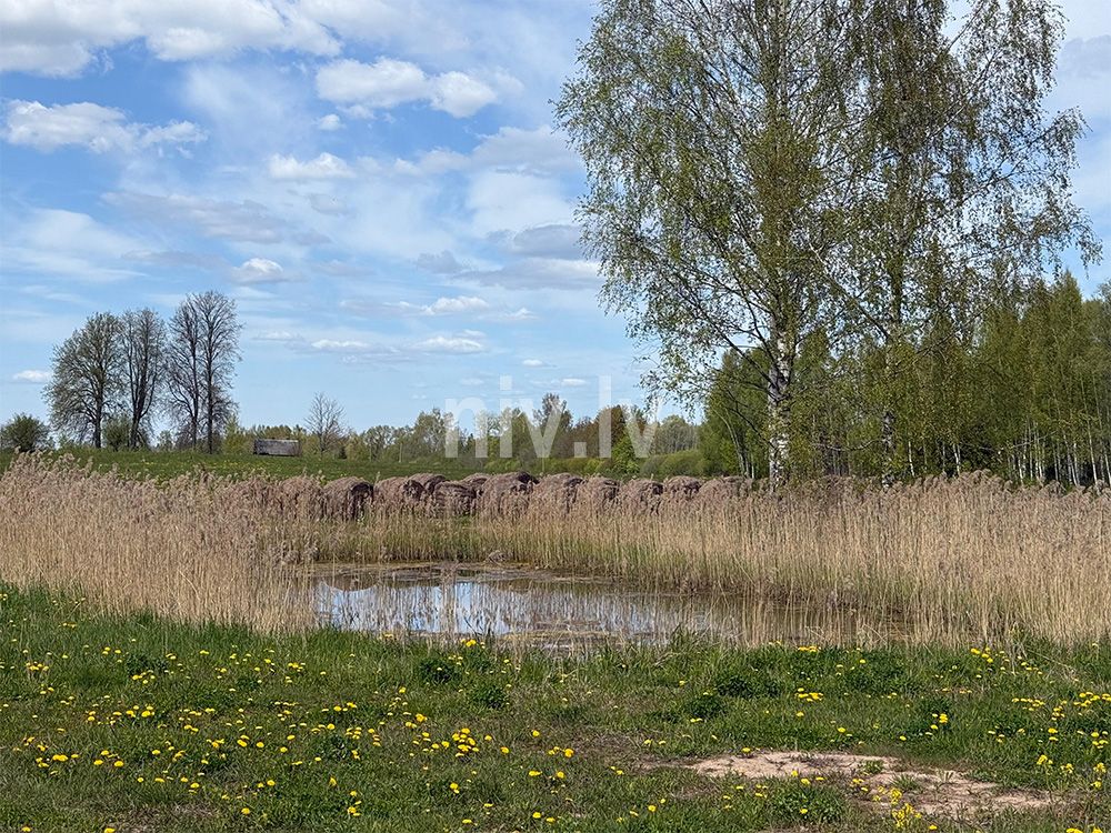 Spridishi-Rujienas-novads-04.jpg