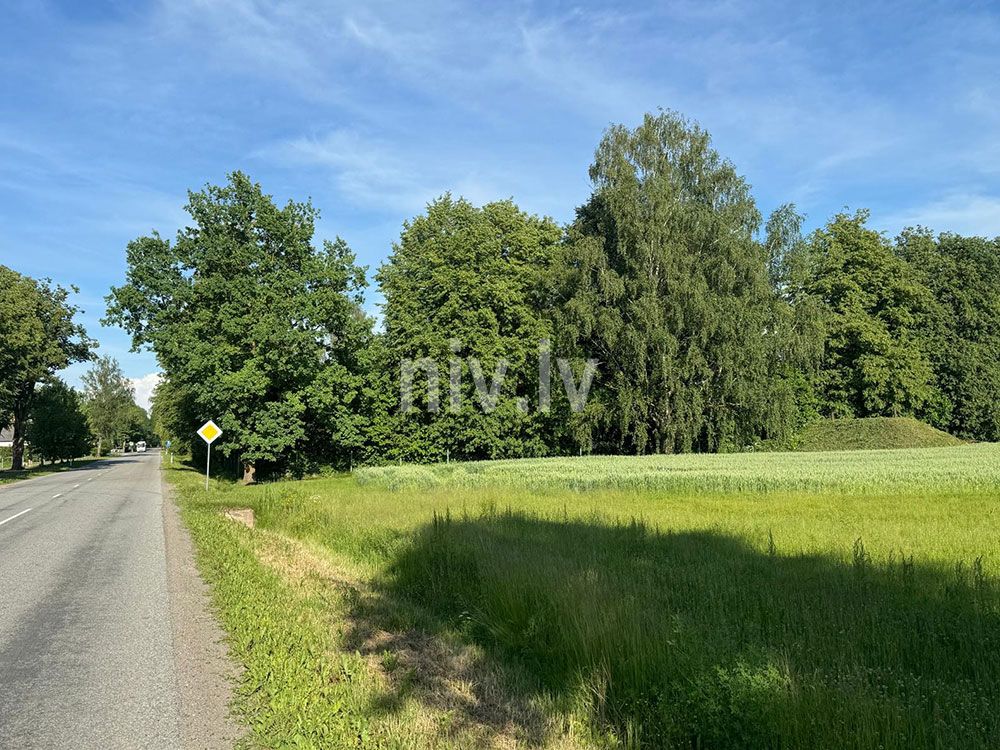 Staljgjene-08.jpg