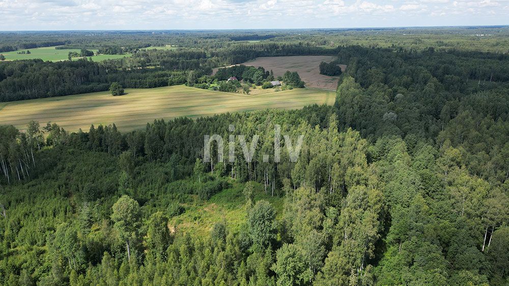 Vilpulkas-pagasts-7-2024-04.jpg