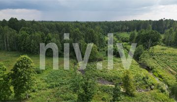 Balvu-novads-lauku-vienseta-pard-013.jpg