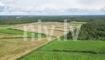 Upeslejas-lauku-zeme-0112.jpg